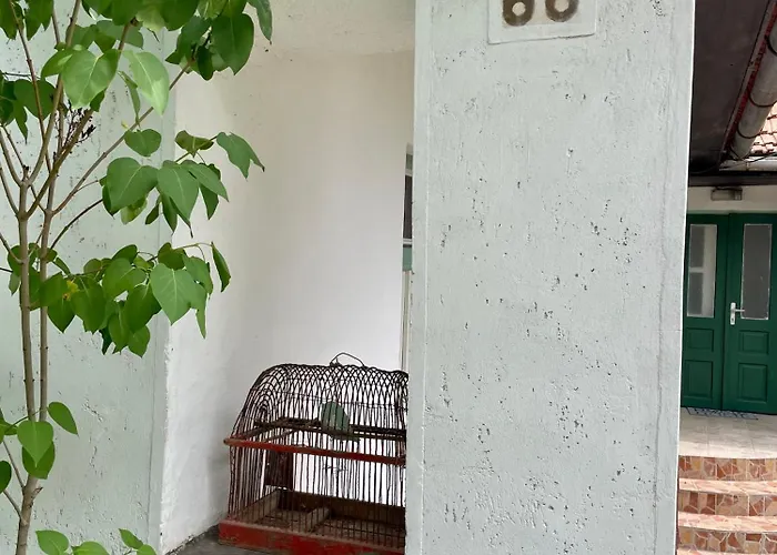 Nyaralo Emberi * Szuhogy