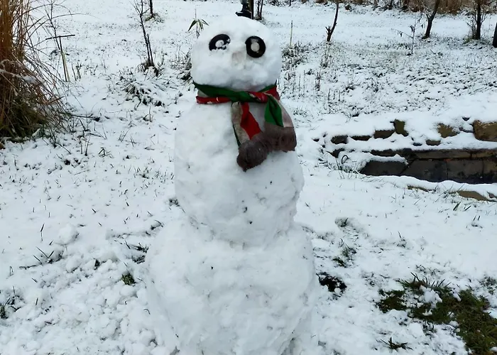 Nyaralo Emberi Case de vacanță